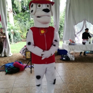  - diversiones infantiles, fiestas infantiles